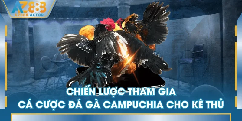Chiến lược tham gia cá cược đá gà Campuchia cho kê thủ Chiến lược tham gia cá cược đá gà Campuchia cho kê thủ
