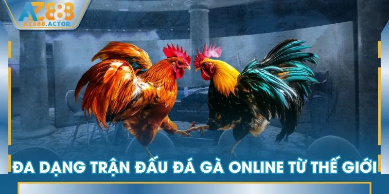 Đa dạng trận đấu đá gà online từ thế giới Đa dạng trận đấu đá gà online từ thế giới